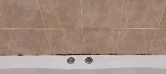 The Science Behind Moisture-Related Stains and How to Prevent Them